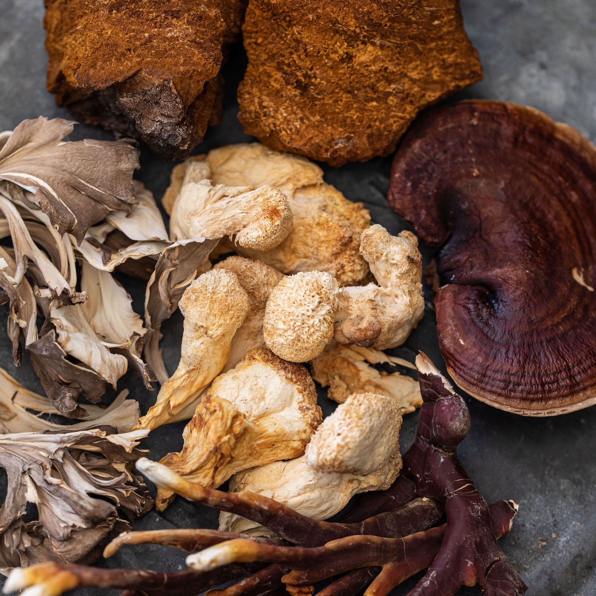 What Are Medicinal Mushrooms? - bloomable.ca