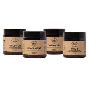 Bloomable Extract Powder Bundle - Lion's Mane, Reishi, Cordyceps, and Turkey Tail - Bloomable Natural Products