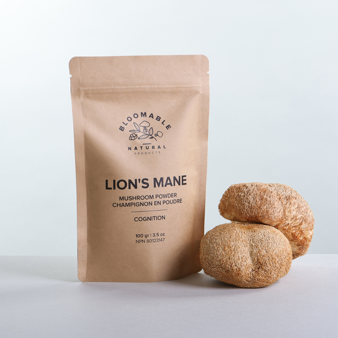 Lion's Mane Mushroom Powder (100 gr) - Bloomable Natural Products