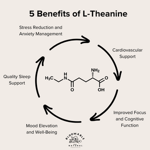 What are the benefits of L-Theanine?