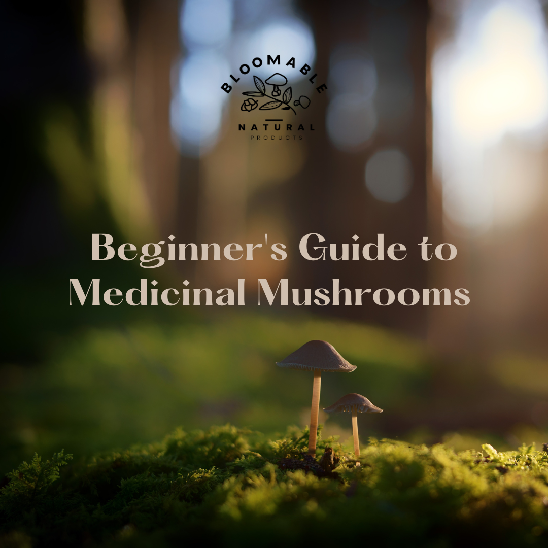 A Beginner's Guide to Medicinal Mushrooms
