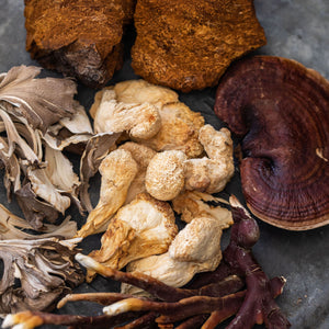 What Are Medicinal Mushrooms? - bloomable.ca